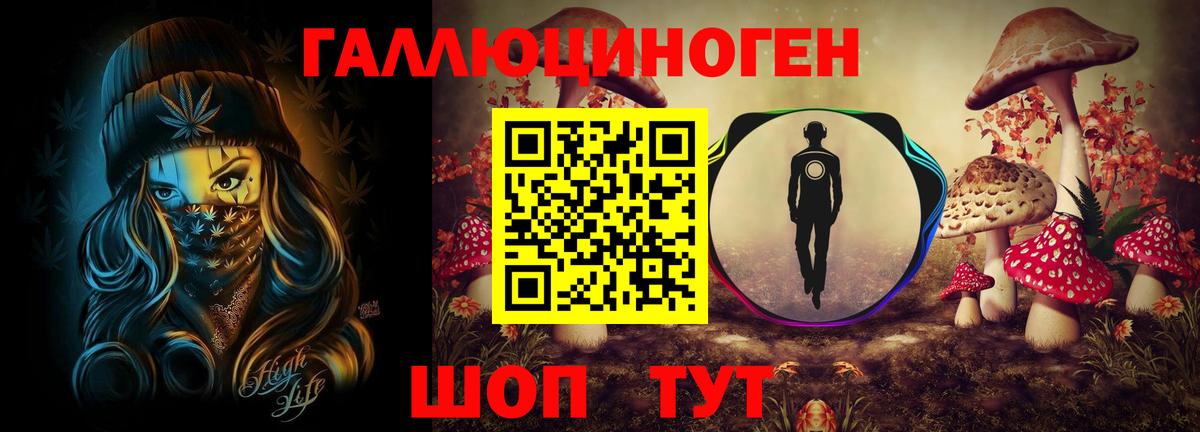 Галлюциногенные грибы MAGIC MUSHROOMS  как найти закладки  Унеча  Вход с VPN  Галлюциногенные грибы Psilocybine cubensis 
